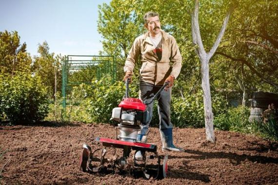 Настала пора лопат, відер і мішків з картоплею Джерело: vlasno.info 